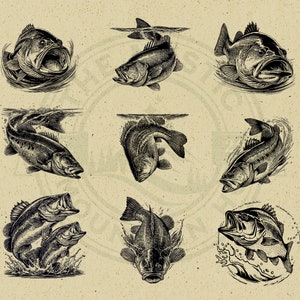 May include: Nine black and white illustrations of bass fish in various poses. The fish are depicted in a realistic style with detailed scales and fins.