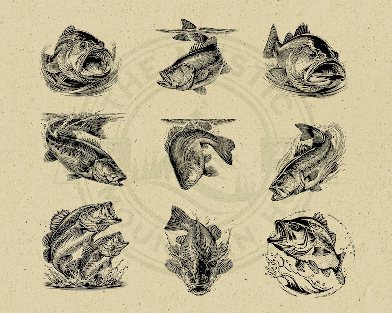 May include: Nine black and white illustrations of bass fish in various poses. The fish are depicted in a realistic style with detailed scales and fins.