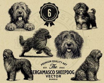 Bergamasco Sheepdog vektorgrafikpaket, valp och kikarhund (SVG, PNG, EPS)