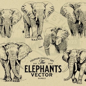 Può includere: Un set di sei disegni in bianco e nero di elefanti. Gli elefanti sono disegnati in uno stile realistico e guardano in direzioni diverse. I disegni sono su uno sfondo marrone chiaro. Il testo "The Elephants Vector Bundle" è stampato in nero nella parte inferiore dell'immagine.