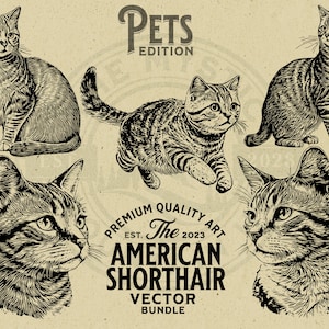 Paquete de ilustraciones vectoriales de gatos americanos de pelo corto (descarga digital)
