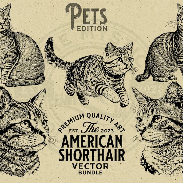 American Shorthair Pet Cat Vector Animal Illustration Bundle, SVG, PNG, Digital Download, T-shirt, Wall Art, Cricut, Clipart, Logo, Cut File