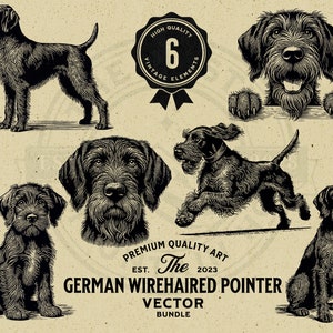 Paquete de ilustraciones vectoriales de perros Braco Alemán de Pelo Duro (Descarga digital)