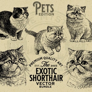 Op de afbeelding: Vijf zwart-wit illustraties van Exotic Shorthair katten in verschillende poses. De illustraties zijn in vintage stijl en worden omringd door een decoratieve rand met de tekst "Pets Edition" en "Premium Quality Art The Exotic Shorthair Vector Bundle".