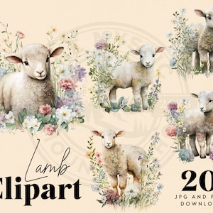 Lamm Clipart Bundle, sofortiger digitaler Download, kommerzielle Nutzung, PNG JPG, Print on Demand, Kartenherstellung, Basteln, Scrapbook, Junk Journal