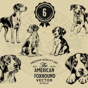 Puede incluir: Seis ilustraciones en blanco y negro de Foxhounds americanos en varias poses. Las ilustraciones son de estilo vintage y están sobre un fondo beige. El texto "The American Foxhound Vector Bundle" está en la parte inferior de la imagen.