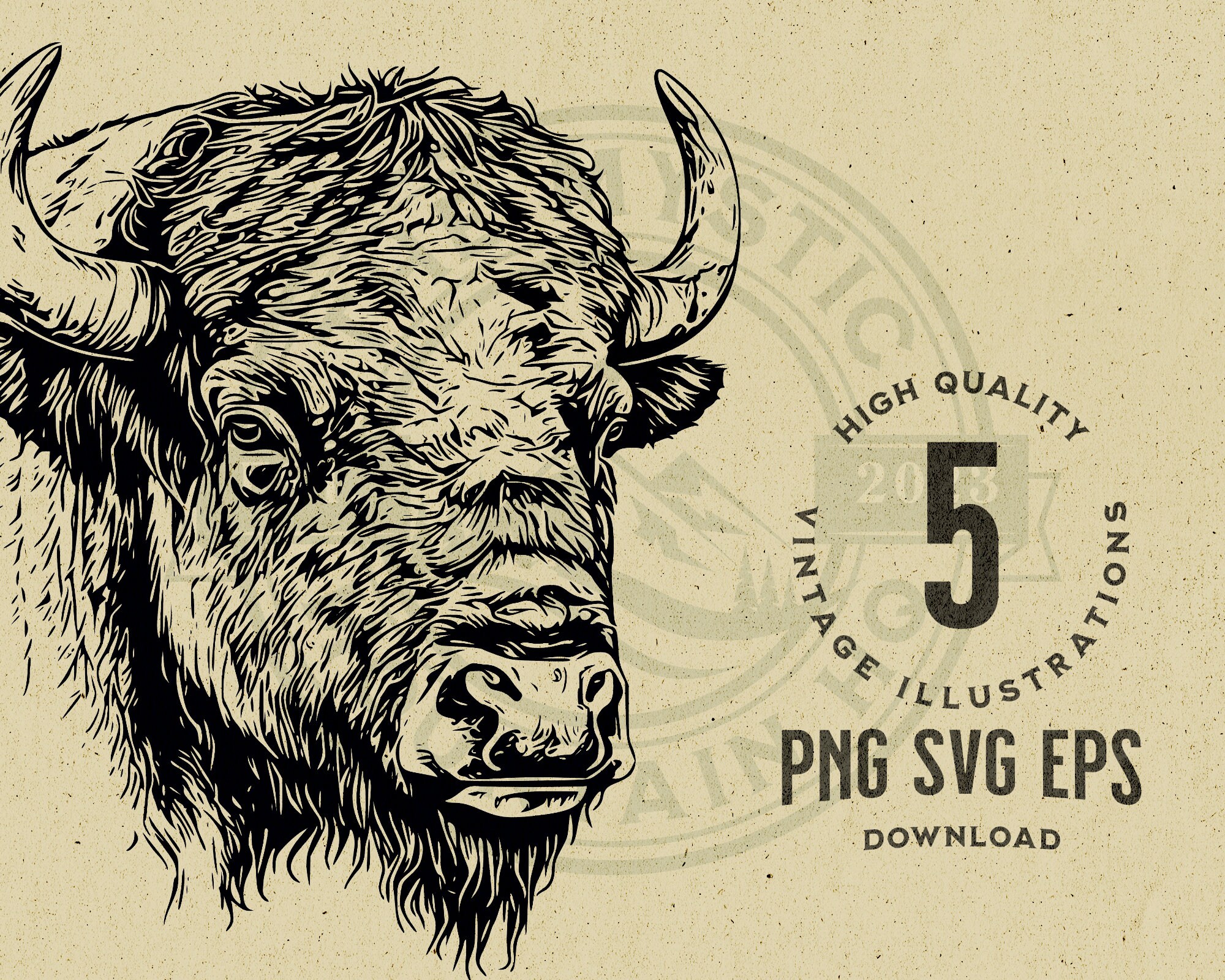 Vintage Buffalo Vector Illustration Bundle, SVG, PNG, EPS (commercial ...