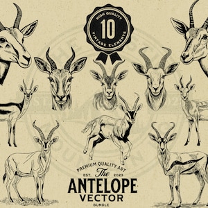 Antelope Vintage Vector Illustration Bundle, Instant Download, PNG, SVG, EPS, Commercial Use, Sublimation, Cricut, Laser, Print on Demand