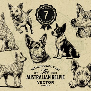 Australian Cattle Dog Pet, Puppy, and Peeking Dog Design Bundle, SVG, PNG, Digital Download, Cricut, Engraving, Commercial Use Clipart