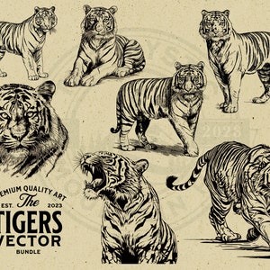 Tiger Vector Animal Illustration Bundle, SVG, PNG, Vintage Design, Commercial Use, for Print on Demand, Wall Art, Cricut, Clipart, Logo,