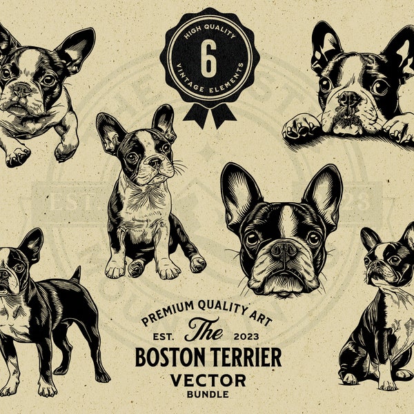 Boston Terrier Pet and Peeking Dog Vector Illustration Bundle, SVG, PNG, Digital Download, Print on Demand, Cricut, Commercial Use Clipart