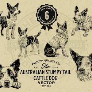 Pacchetto di illustrazioni vettoriali di Australian Stumpy Tail Cattle Dog (download digitale)