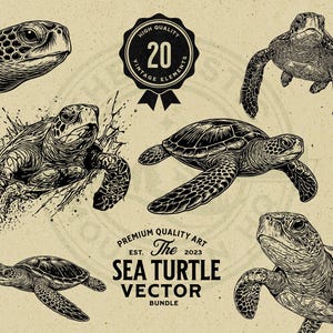 Może przedstawiać: Kolekcja ilustracji w stylu vintage przedstawiających żółwie morskie w czerni i bieli. Obraz zawiera różne pozy żółwi, z tekstem "SEA TURTLE VECTOR BUNDLE" i "20 VINTAGE ELEMENTS". Grafika na beżowym tle.