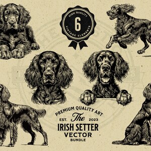 Op de afbeelding: Een set van zes vintage illustraties van Irish Setter honden in zwart-wit. De illustraties tonen verschillende poses van de honden, waaronder een puppy, een rennende hond en een hond die naar de camera kijkt. De illustraties zijn perfect voor gebruik in een verscheidenheid aan projecten, zoals wenskaarten, posters en websiteontwerpen.