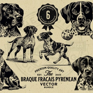 May include: Six black and white illustrations of a Braque Francais Pyrenean dog breed. The illustrations are in a vintage style and feature the dog in different poses. The text "The Braque Francais Pyrenean Vector Bundle" is at the bottom of the image.