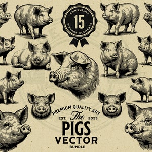 Bauernhof Schwein Vintage Vektor Illustration Bundle, Sofort Download PNG, SVG, EPS, Kommerzielle Nutzung, Sublimation, Cricut, Laser, Print on Demand