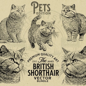 以下が含まれることがあります： さまざまなポーズをとったブリティッシュショートヘアの猫の白黒イラスト5点セット。イラストはヴィンテージスタイルで、「Pets Edition」と「The British Shorthair Vector Bundle」とラベル付けされています。