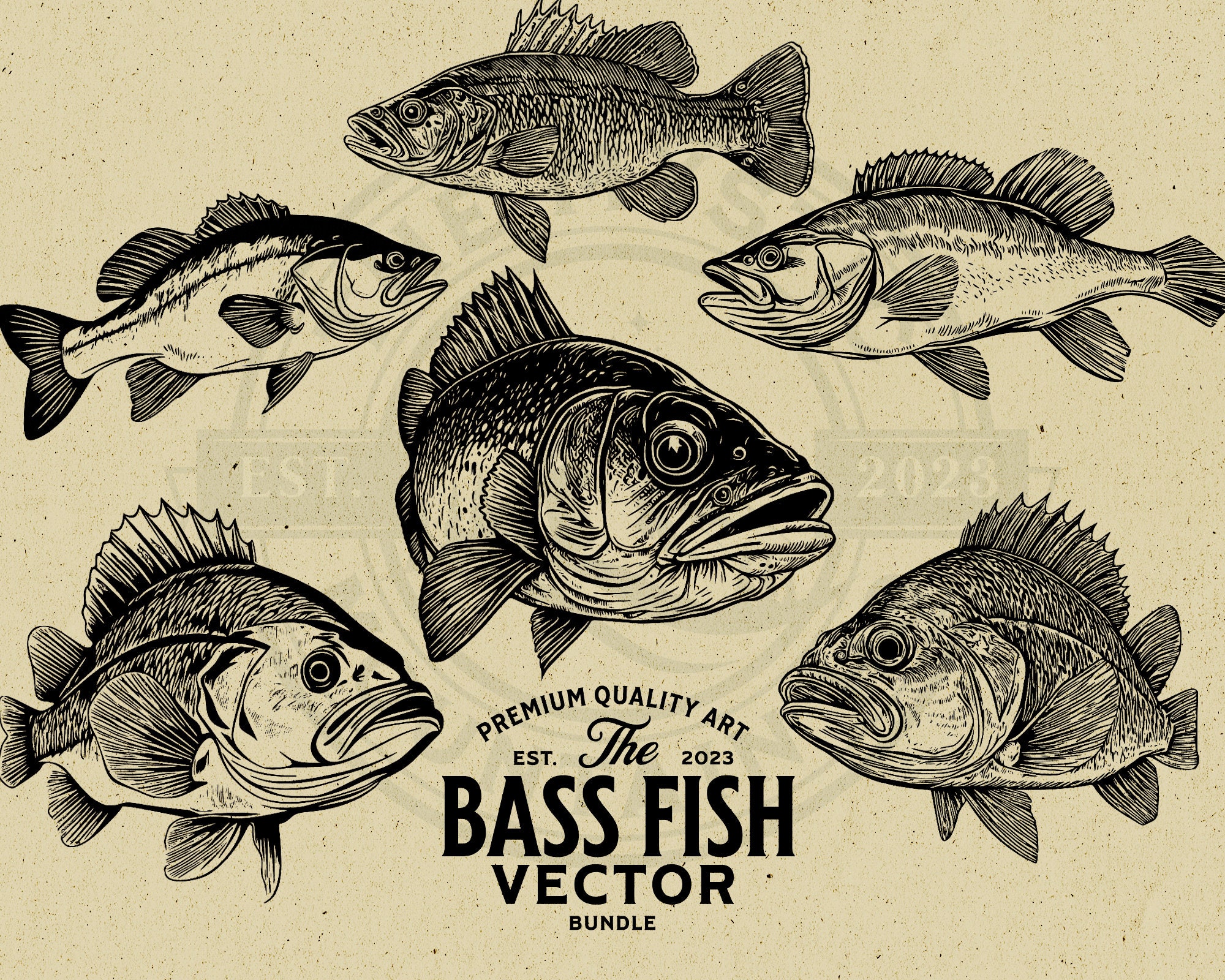 Bass Fish Vector Animal Illustration Bundle, Digital Download, Cut File SVG PNG, Commercial Use, POD, Wall Art, Cricut, Laser, Clipart, Logo