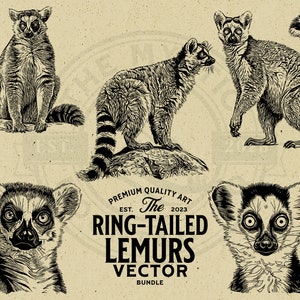 Vektorillustrationspaket med ringstjärtslemur, SVG PNG EPS (digital nedladdning)