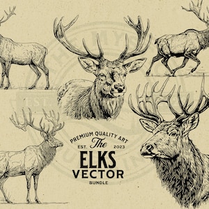 Elk Vector Illustration Bundle, Rustic and Vintage Design - Commercial Use - Instant Download - Print on Demand, Clipart, Cricut, Wall Art