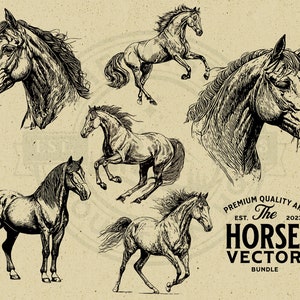 Horse Vector Animal Illustration Bundle, SVG, PNG, EPS Vintage Design, Commercial Use, for Print on Demand, Wall Art, Cricut, Clipart, Logo