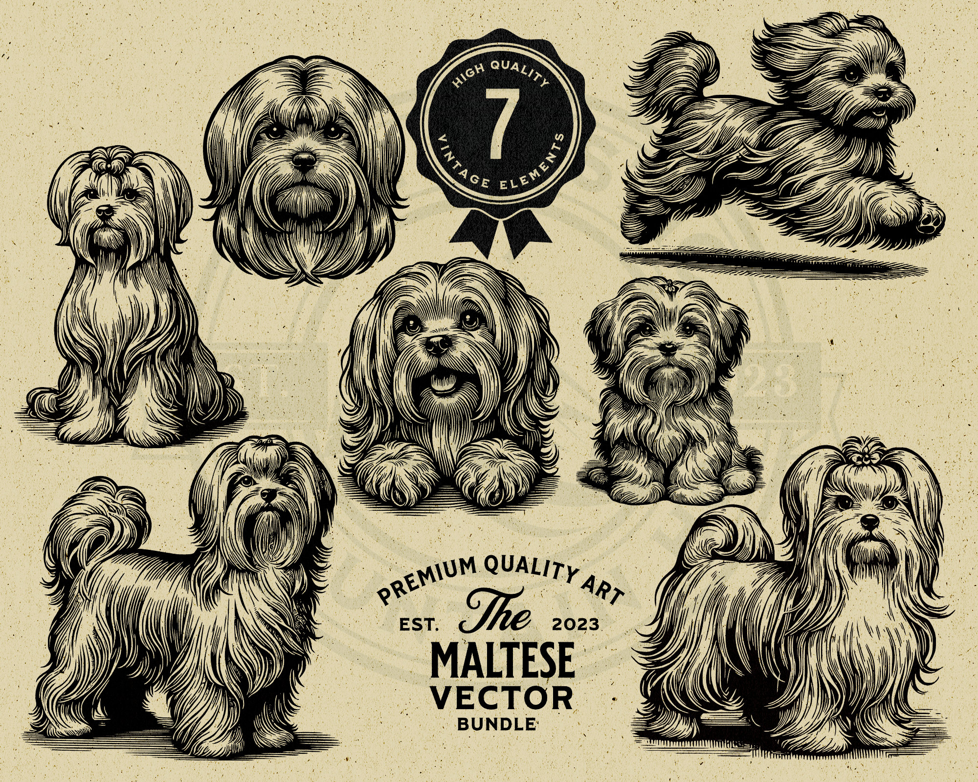 マルチーズ犬のベクターアートイラストバンドル（デジタルダウンロード） - Etsy 日本, image size:2000x1600