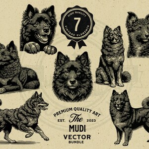 Op de afbeelding: Zeven zwart-wit illustraties van een Mudi-hond in verschillende poses. De illustraties zijn in vintage stijl en zijn getiteld "The Mudi Vector Bundle".