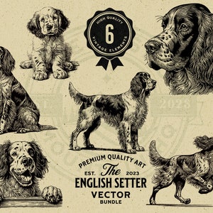 Puede incluir: Un conjunto de seis ilustraciones en blanco y negro de perros setter ingleses en varias poses. Las ilustraciones son de estilo vintage y son perfectas para usar en una variedad de proyectos.