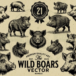 Pacote de ilustração vetorial vintage de javali, download instantâneo PNG, SVG, EPS, uso comercial, sublimação, Cricut, laser, impressão sob demanda