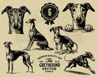 Op de afbeelding: Een set van zes vintage illustraties van windhonden in verschillende poses. De illustraties zijn in zwart-wit en hebben een retro stijl. De tekst "The Greyhound Vector Bundle" staat onderaan de afbeelding.