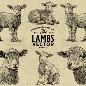 Lamm Schaf Vektor Tier Illustration Bundle, Vintage, Schnittdatei, SVG, PNG, Kommerzielle Nutzung, Print on Demand, Wandkunst, Cricut, Clipart, Logo