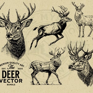 Deer Vector Illustration Bundle, SVG, PNG, Vintage, Cut File, Commercial Use, Instant Download, Print on Demand, Clipart, Cricut, Wall Art