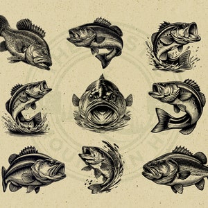 May include: Nine black and white illustrations of bass fish in various poses. Some fish are jumping out of the water, while others are swimming or lying on the bottom.