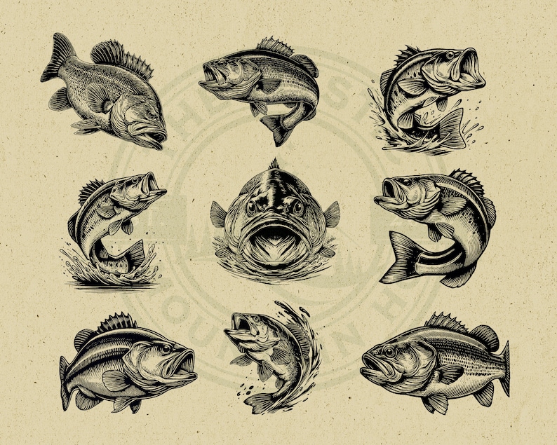 May include: Nine black and white illustrations of bass fish in various poses. Some fish are jumping out of the water, while others are swimming or lying on the bottom.