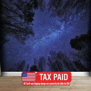 Night Sky Milky Way Forest Wallpaper Mural, Peel and Stick Wall Decal