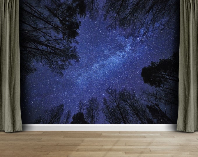 Night Sky and Milky Way Over Forest Gift, Art Print Photomural Wallpaper Mural Easy-Install Removeable Peel and Stick Large Wall Decal Art