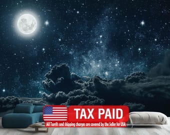 Night Sky Stars Wall Mural, Peel and Stick Wallpaper, Modern Art
