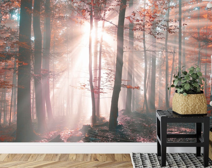 Sun Shining on Autumn Forest Leaves Large Room Decor Gift Art Print Photomural Wallpaper Mural Easy-Install Removeable Peel and Stick