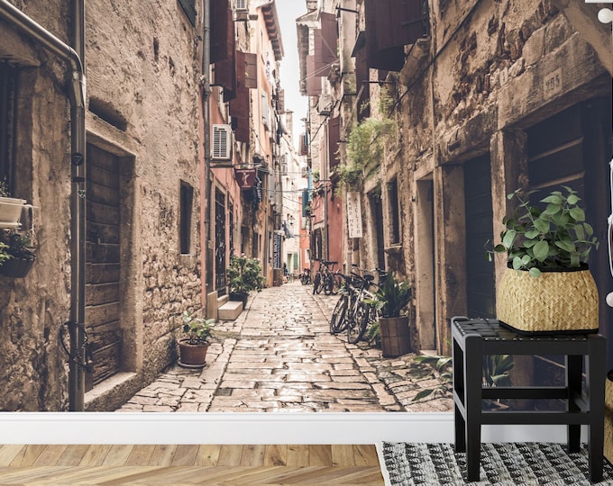 Small Ally Streets Rovinj Croatia Room Decor Gift Art Print Photomural Wallpaper Mural Easy-Install Removeable Peel and Stick Large Photo