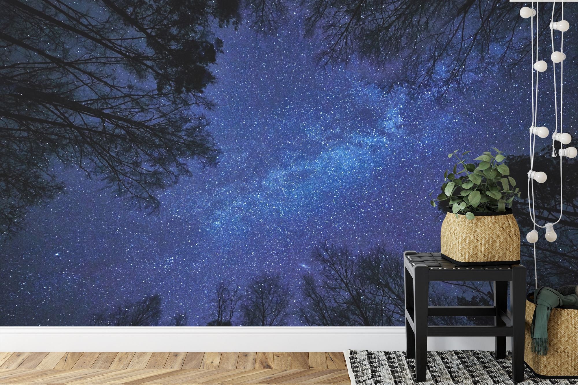 Night Sky Milky Way Forest Wallpaper Mural, Peel and Stick Wall Decal ...