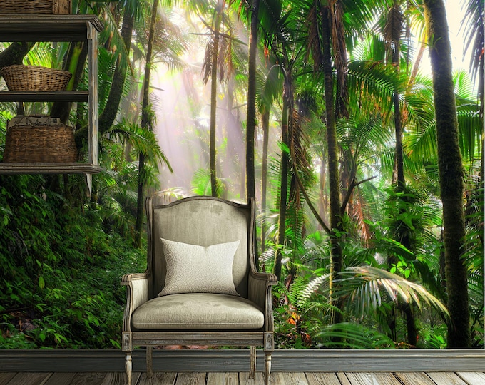 Deep Tropical Jungles with a river in Southeast Asia Gift, Art Print Photomural Wallpaper Mural Easy-Install Removeable Peel and Stick Decal