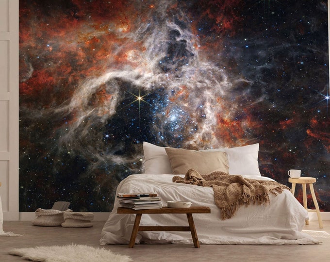 Astrology Space Galaxy Tarantula Nebula Gift, Art Print Photomural Wallpaper Mural Easy-Install Removeable Peel and Stick Large Wall Decal