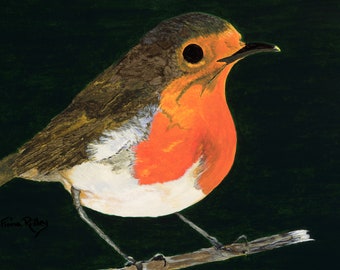 May include: A painting of a robin perched on a branch. The robin has a bright orange breast, a white belly, and brown wings. The background is a dark green.