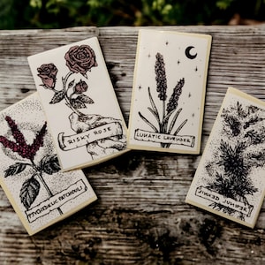 Botanical magical sticker set, handdrawn, Patchouli, Lavender, Juniper, Rose, Witchy Sticker, Rose Sticker, Patchouli Sticker, Botanical