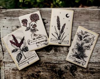 Botanical Sticker Set, Hand-drawn Lavender, Juniper, Rose, Patchouli