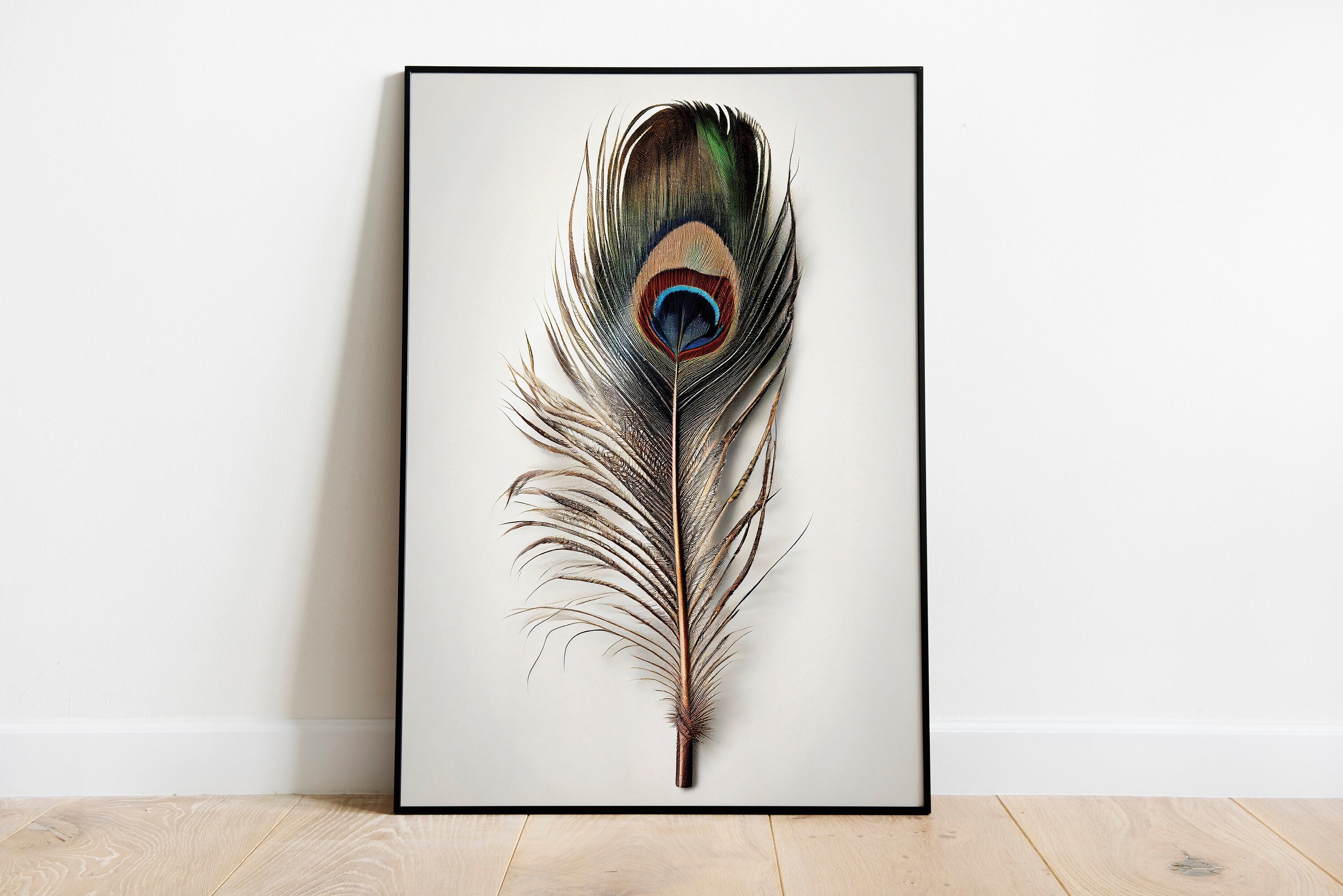  Custom Peacock Feather Canvas Print 16 x 12 Inch