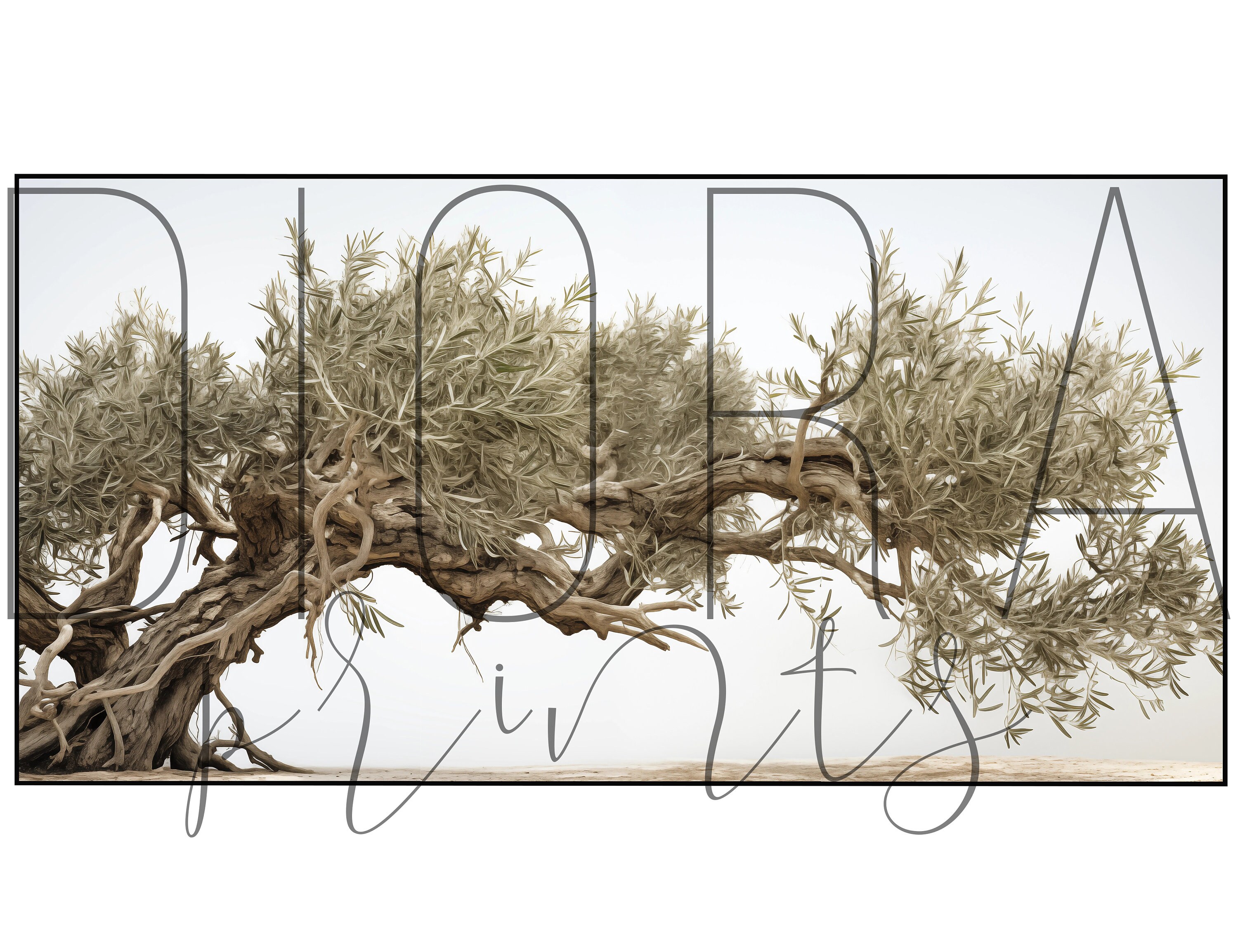 Olive Tree Print, Gallery Wall Art, Botanical Kitchen Print, Vintage Olive Drawing, Farmhouse ...