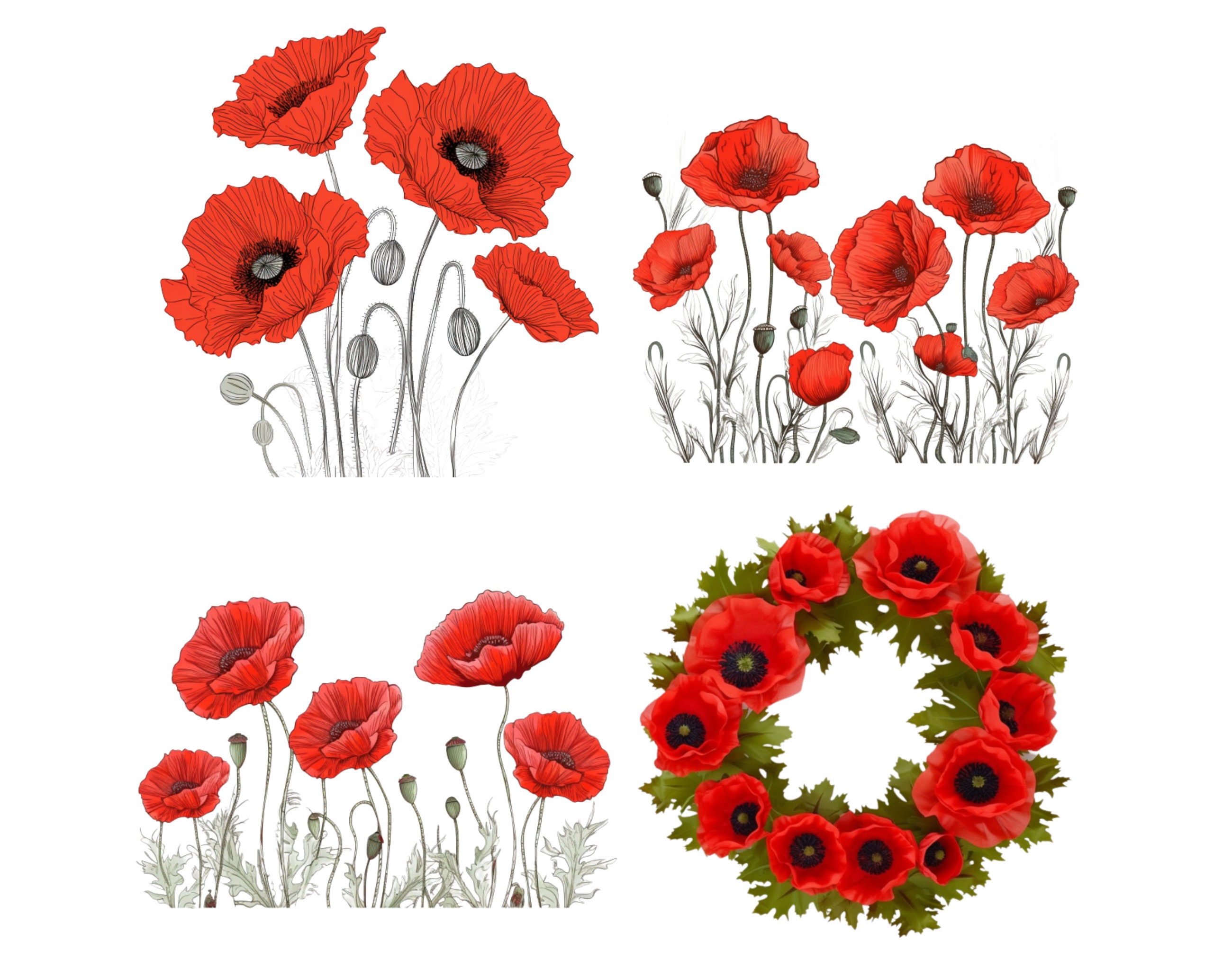 Poppy Svg Poppies Svg Poppy Svg File Poppy Art Poppy Etsy Canada