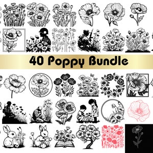 Coquelicot SVG, SVG coquelicots, fichier SVG coquelicot, art coquelicot, clipart coquelicot, coquelicot png, coquelicots, coquelicots png, clipart coquelicots, fleurs svg, svg fleurs sauvages