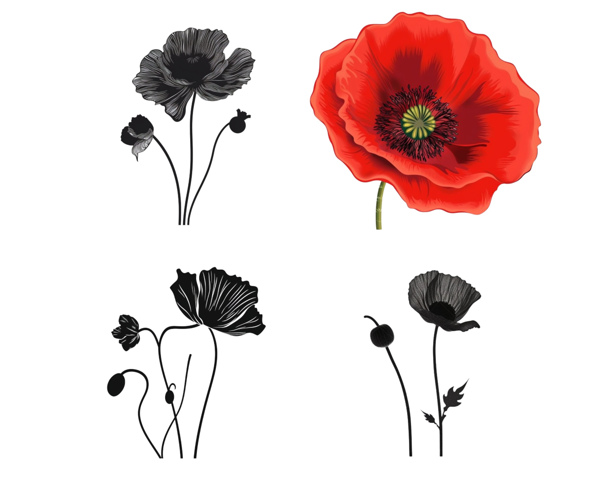 Poppy Svg Poppies Svg Poppy Svg File Poppy Art Poppy Etsy Canada